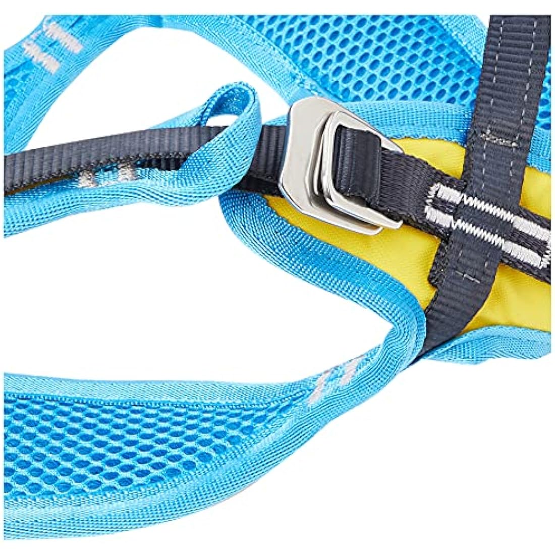 Salewa Children's Rookie climbing harness.