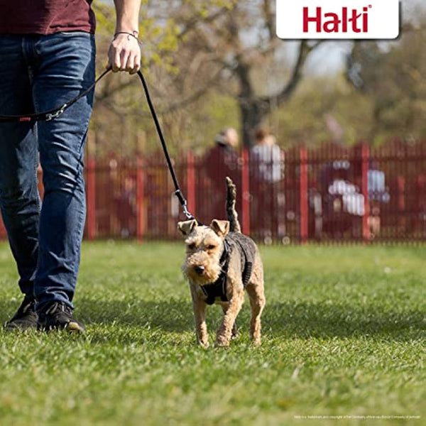 HALTI No Pull Harness Size Small, Professional Dog Harness to Stop Pulling on the Lead, Easy to Use, Anti-Pull Training Aid, Adjustable, Reflective and Breathable, For Small Dogs, Black