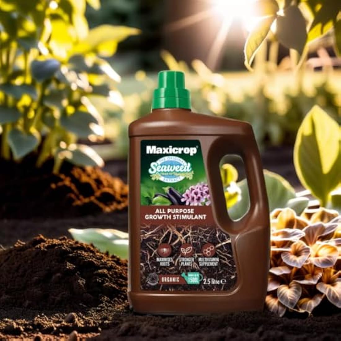 Maxicrop All Purpose Plant Growth Stimulant, 2.5L - Natural Seaweed Based Liquid Biostimulant - Multivitamin Boost for All Garden Plants - Strong Roots - Healthy Growth - Builds Resilient Crops