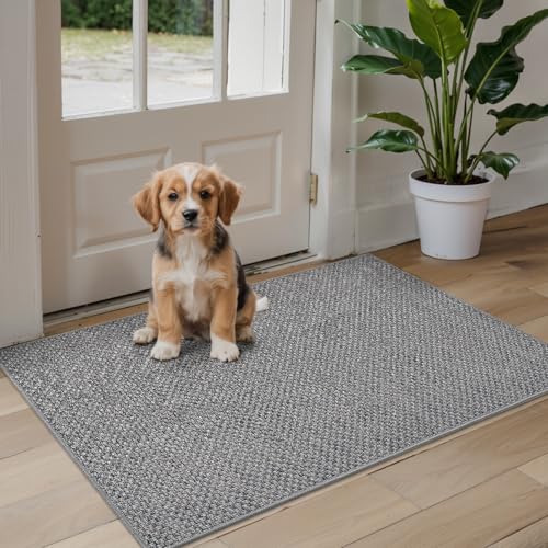 DEXI Door Matts Indoor 92 x 142 cm, Dirt Trapper Doormats Inside with Non Slip Rubber Backing, Low Profile Absorbent Entrance Mat for Muddy Shoes and