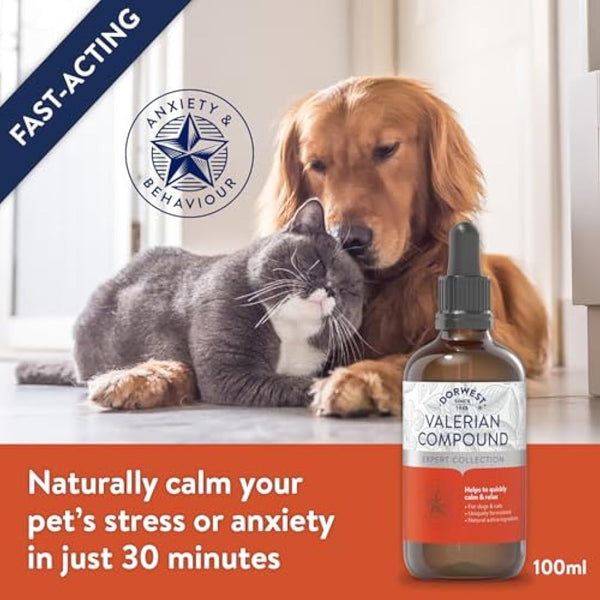 Dorwest Valerian Compound for Dogs and Cats, 100ml, Quick-acting Dog Calming Liquid Drops - Valerian for Dogs, Non-Drowsy