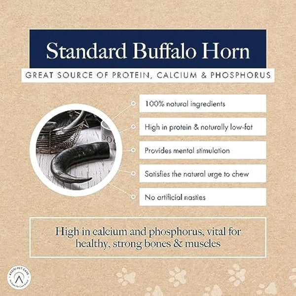 Hollings Buffalo Horn Standard Dog Treat, 100% Natural Grain Free Chew Treat for Adult Dogs, High in Protein and Naturally Low in Fat (12 Pack)