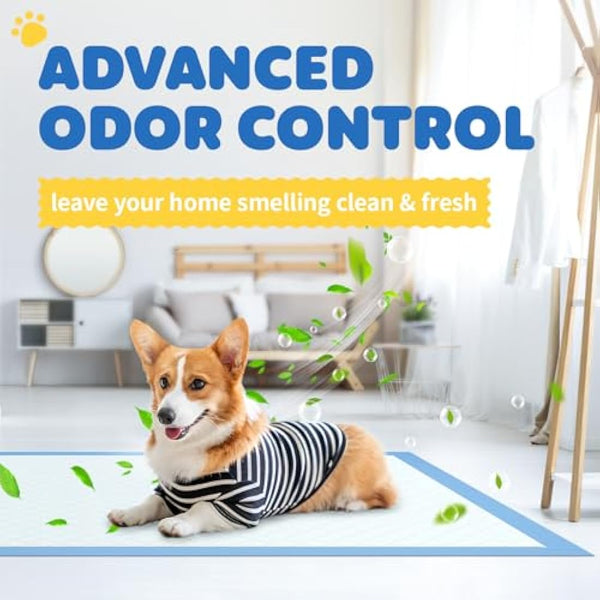 Extra Large Puppy Pads 86 x 70 cm, Pack of 100, Pee Pads for Dogs Potty Training with Leak-Proof Quick-Dry Design, 6-Layer Puppy Training Pads