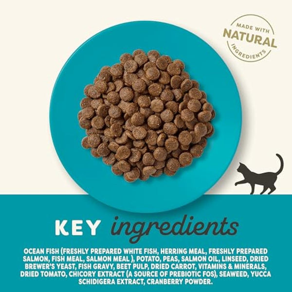 Applaws Complete Natural and Grain Free Dry Adult Cat Food, Ocean Fish with Salmon, 6 kg Bag