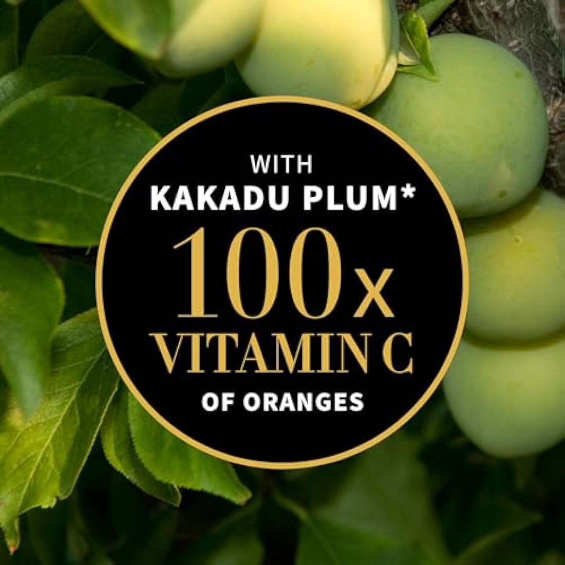 Antipodes, Kiwi Seed Oil Eye Cream 100 Natural CrueltyFree Vegan FragranceFree and AntiAgeing, 30ml