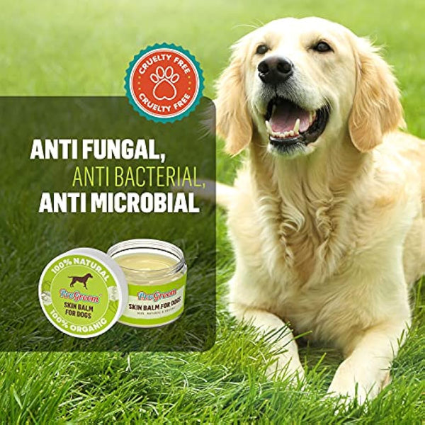Dog Skin Balm for Itchy Skin - Natural and Organic Ointment for Dogs - Itchy Dog Balm Safe for Licking