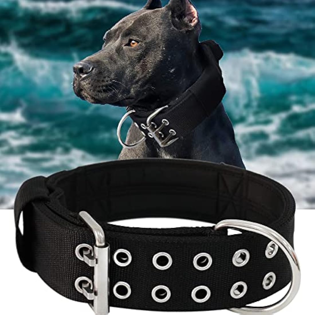 Dog Collar for Large Dogs - 5 cm Wide Collar with Handle for Extra Large Dog Breeds, Black, Soft Padded Neoprene Nylon Dog Collar for Large Dogs, Big Dog Collar 43-56 cm