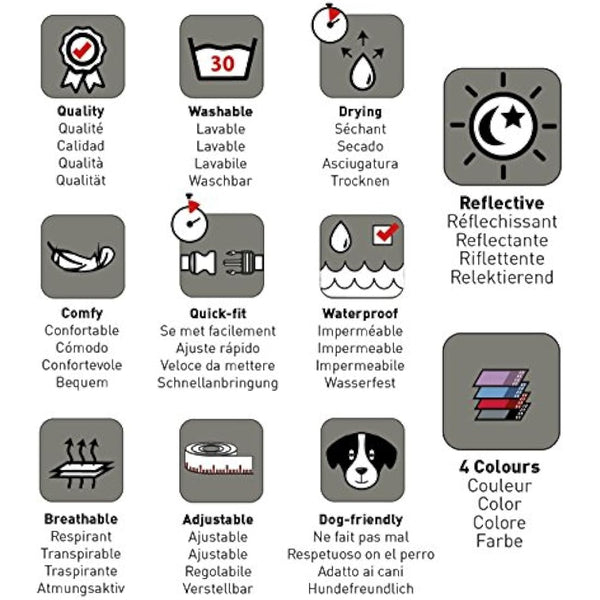 HALTI Collar, Size Medium, Purple, Best Comfy Dog Collar, Premium Puppy Collar, Nylon, Neoprene-Padded, Reflective, Easy to Fit & Use, For Small, Medium & Large Dogs