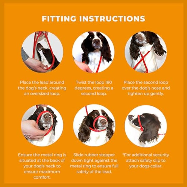 Dog & Field Figure 8 Anti-Pull Lead/Halter/Head Collar/Harness (Natural)