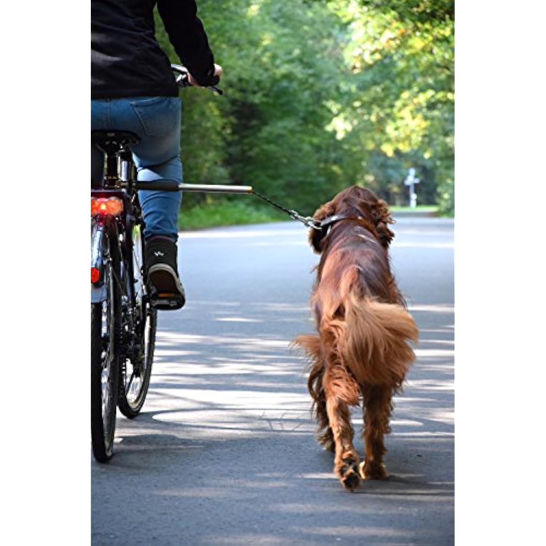 dobar® 62000 Walky Dog Plus Dog Bicycle Lead, Stainless Steel Spacer, Bicycle Holder with Triple Rear Damper, Traction Lead with Quicklock and Spacer, 37.5 cm, Silver