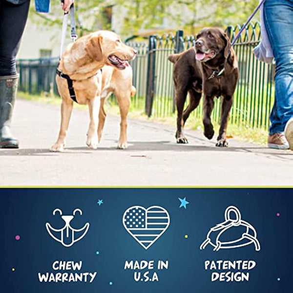 2 Hounds Design Freedom No-Pull Dog Harness with Leash, Medium, 5/8-Inch Wide, Teal