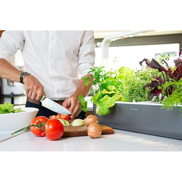 Click & Grow Indoor Herb Garden Kit with Grow Light | Easier than Hydroponics Growing System | Smart Garden for Home Kitchen Windowsill | Vegetable & Herb Garden Starter Kit with 9 plant pods, Gray