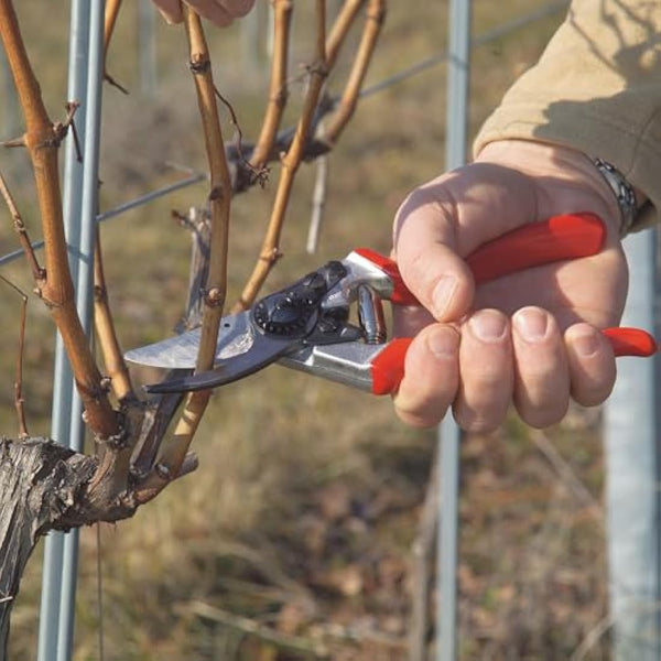 Felco FEL8 Model 8 Classic Secateurs (Renewed)