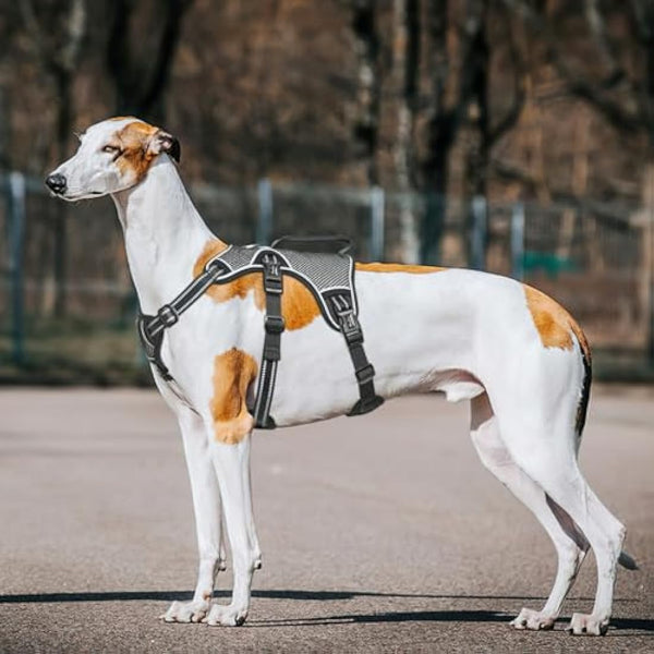 HEELE Escape Proof Dog Harness - No Pull Reflective Adjustable Vest with Durable Handle, Ideal for Outdoor Training & Walking, Fits Big/Active Dogs, Black, XL