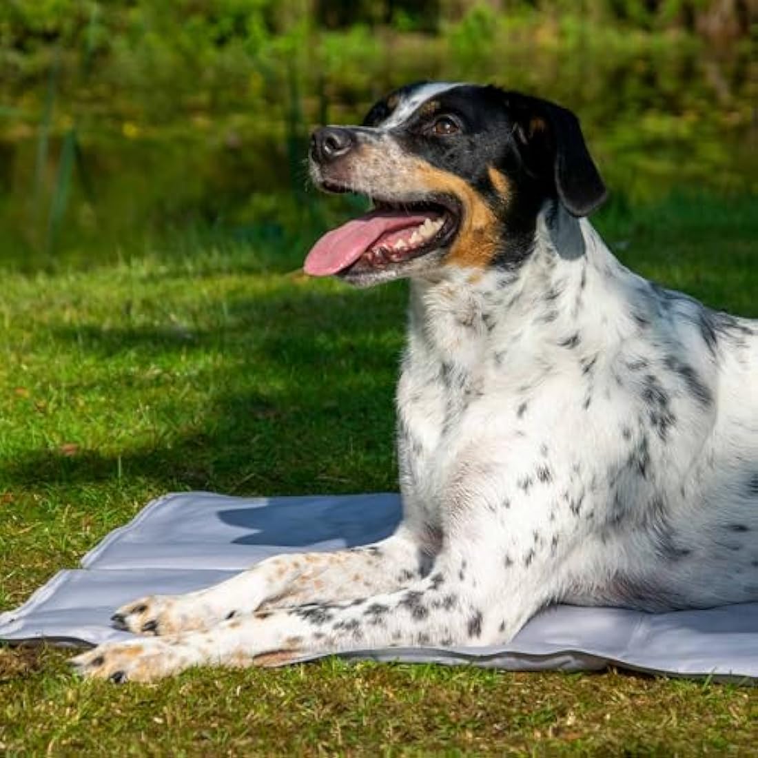 dobar® 60422 Cooling Mat for Dogs - Dog Cooling Mat for Dogs & Cats - Self-Cooling Mat for Pets - Dog Blanket with Cold Gel Filling - Cooling Blanket - 99.5 x 70 cm - Grey