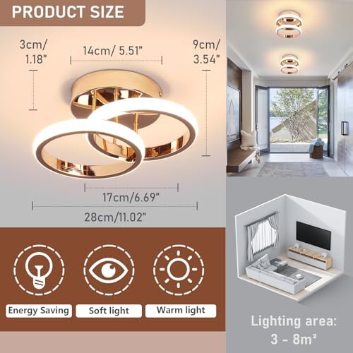 EIDISUNY LED Ceiling Light Modern Ceiling Lamp Gold Round Simple Ceiling Lights Fixture LED for Corridor Kitchen Stairs Hallway Study Room Bedroom Living Room - Chrome Gold 22W Natural Light 4500K.