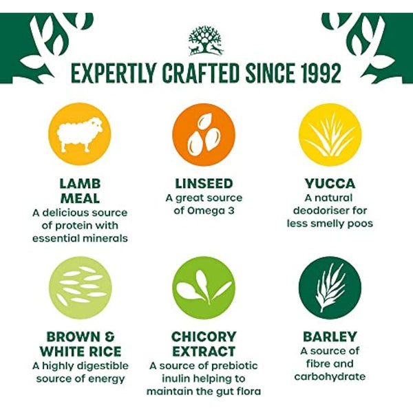 James Wellbeloved Adult Lamb & Rice 2 kg Bag, Hypoallergenic Dry Dog Food