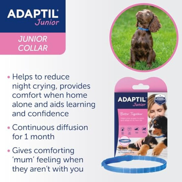 Adaptil Junior Adjustable Puppy Collar | Adaptil Dog Collar To Help Reduce Puppy Anxiety Using Natural Pheromones | Adjustable Calming Dog Collar For Puppies To Aid Training And Socialisation