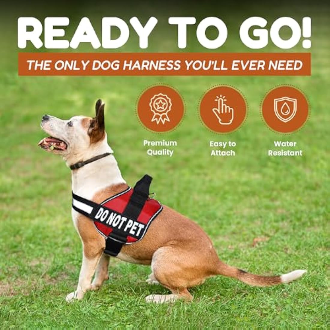 DO NOT PET Dog Vest Harness with Removable Patches and Reflective Trim. Comes with 2 DO NOT PET Reflective Removable Patches. Please Measure Dogs Girth Before Purchase