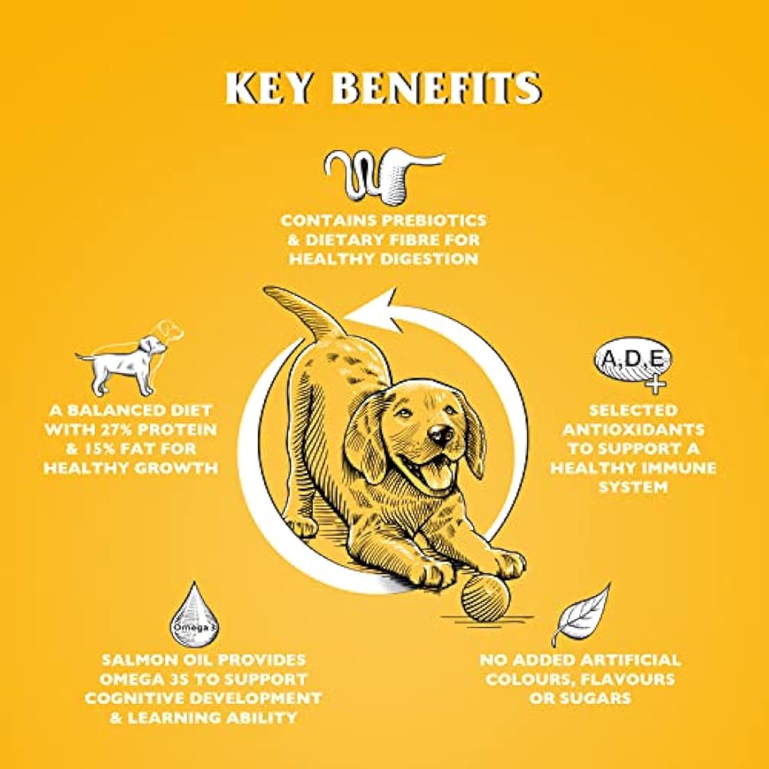 Dr John Dry Puppy Food 10kg with Omega-3s - Chicken Recipe - Complete Nutrition for Puppies of Sporting Active Breeds - Junior High Protein Dry Dog Food.