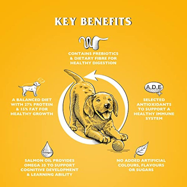 Dr John Dry Puppy Food 10kg with Omega-3s - Chicken Recipe - Complete Nutrition for Puppies of Sporting Active Breeds - Junior High Protein Dry Dog Food.