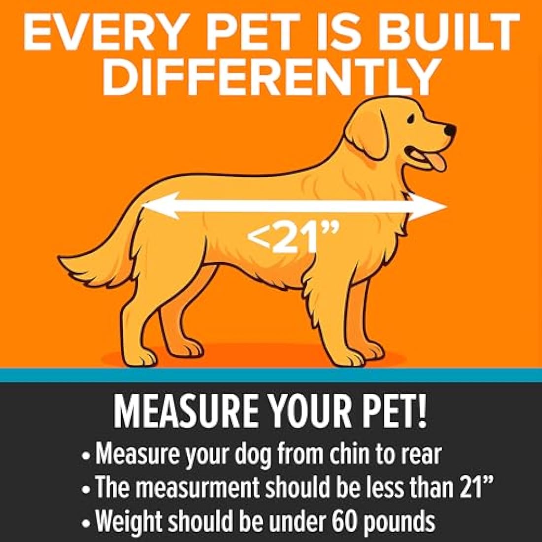 K&H Pet Products Buckle N' Go Dog Car Seat for Large Dogs, Waterproof Fabric with Breathable Mesh & Adjustable Dog Seat Belt for Car, Dog Hammock for Car, Dog Carrier Dog Car Seat Cover - Gray MD/LG