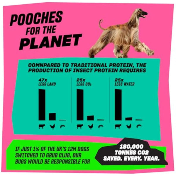 Insect Protein Superfood Dog Treats for Daily Training and High Value Rewards - Grain Free, High Protein and Planet Friendly - Sit Roll Treat Repeat (10 x 100g) - GRUB CLUB