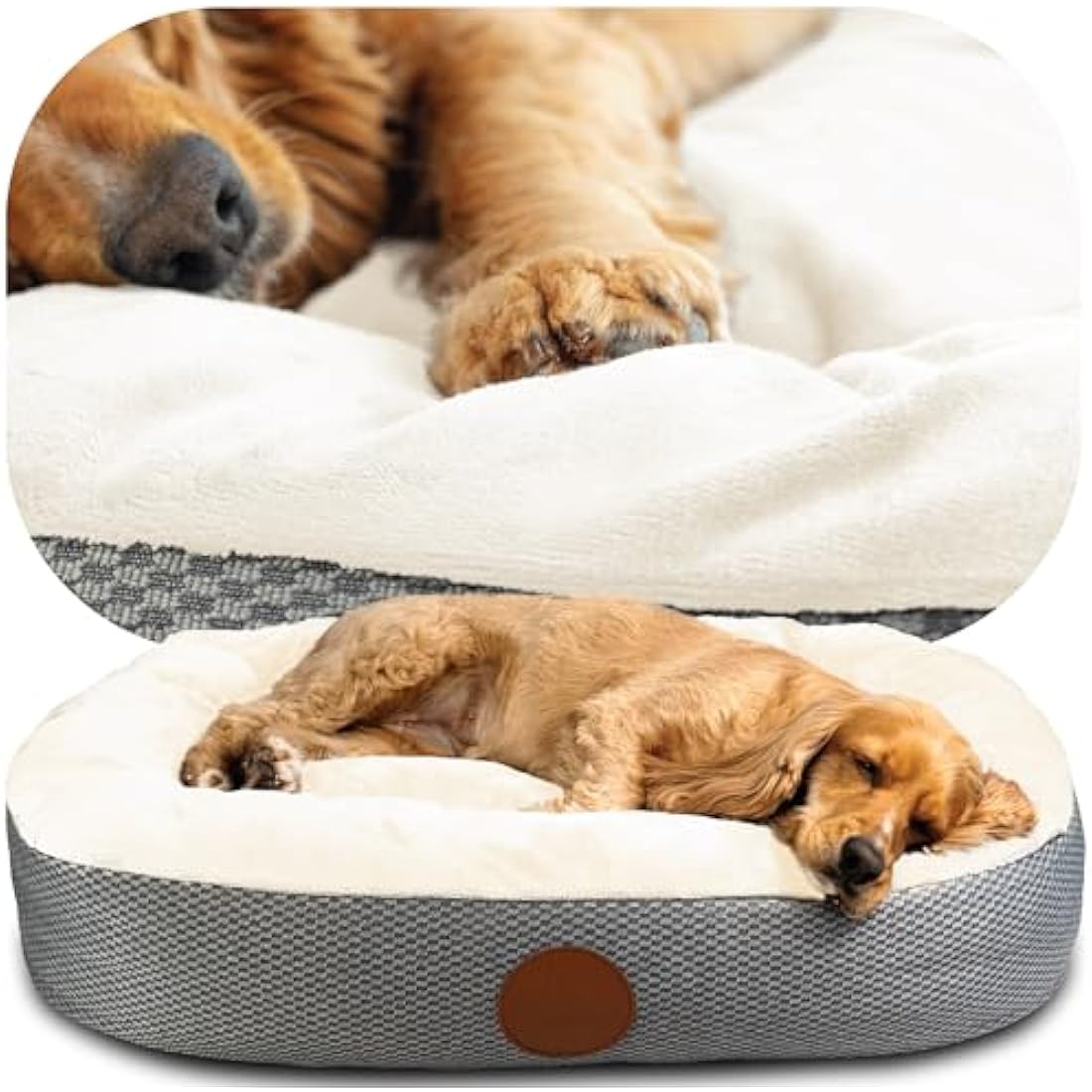 Elite Paws® UK: Luxury Orthopaedic Style Dog Bed - Dual-Layer Foam Base With Plush Cushion Top, Bolstered Sides for Head, Neck & Joint Support, Plus Zip-Off Washable Fleece Cover (Cream/Grey, S)