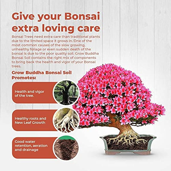 Grow Buddha Bonsai Soil compost food fertiliser medium Bonsai soil compost