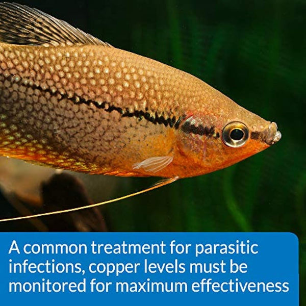 API COPPER TEST KIT 90-Test Aquarium Water Test Kit