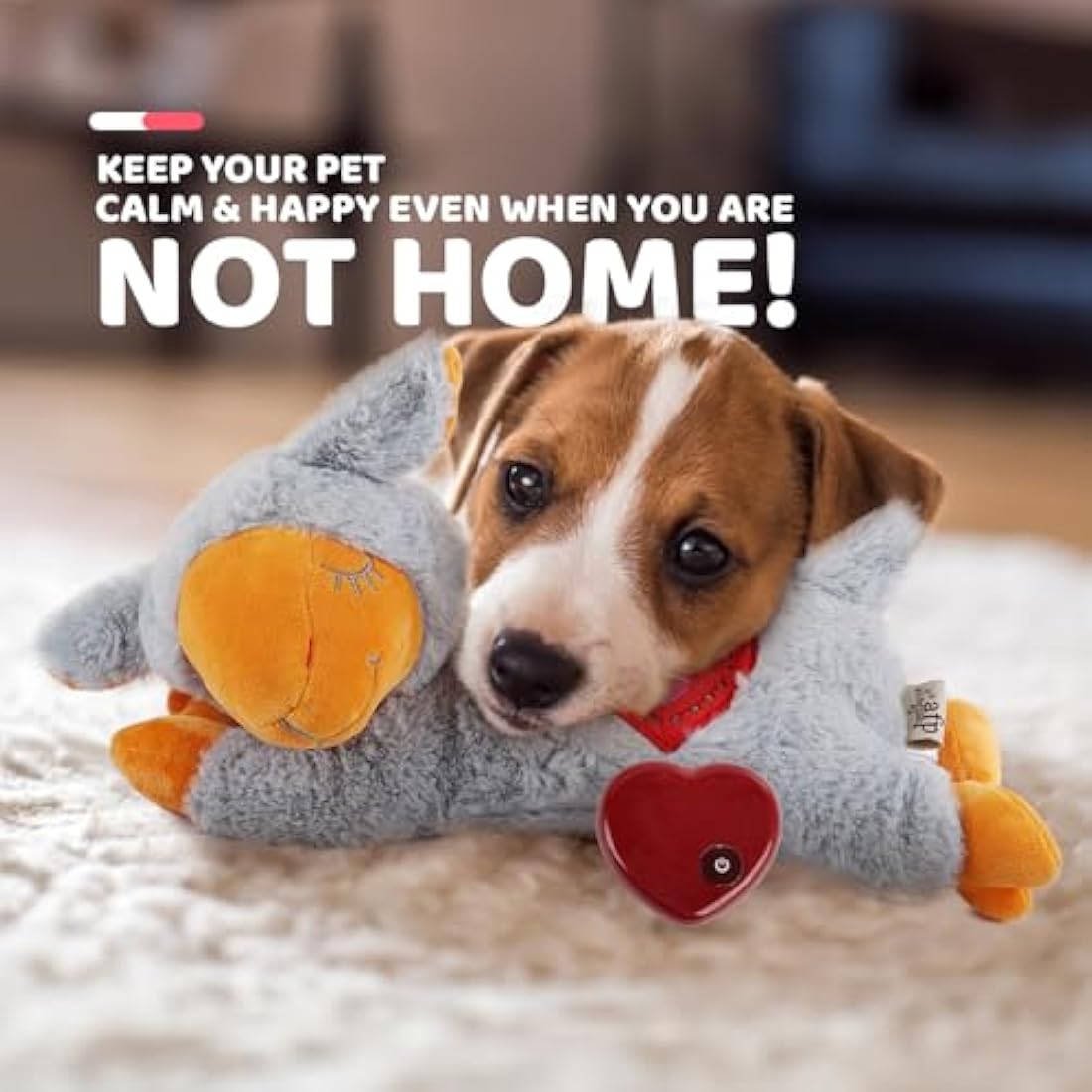 ALL FOR PAWS Puppy Heartbeat Toys Grey Sheep, Dog Behavioral Aid Plush Toy, Pet Snuggle Plush Toy for Puppies Dog with Heartbeating