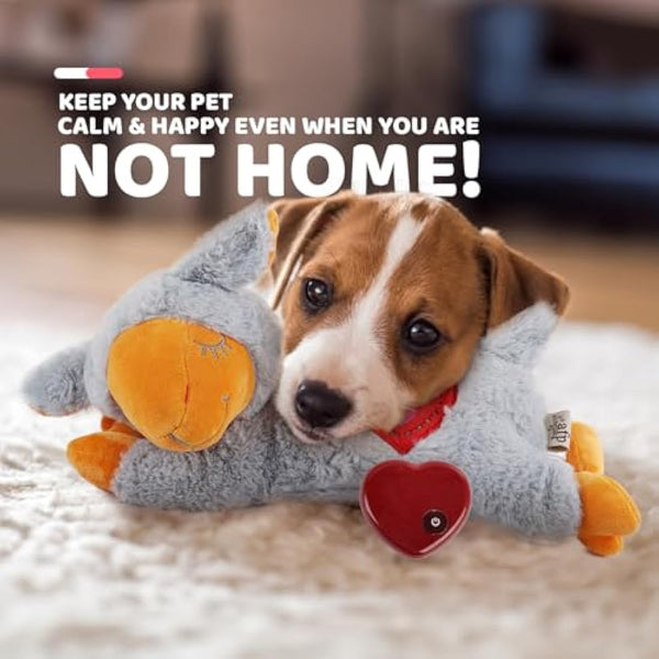 ALL FOR PAWS Puppy Heartbeat Toys Grey Sheep, Dog Behavioral Aid Plush Toy, Pet Snuggle Plush Toy for Puppies Dog with Heartbeating