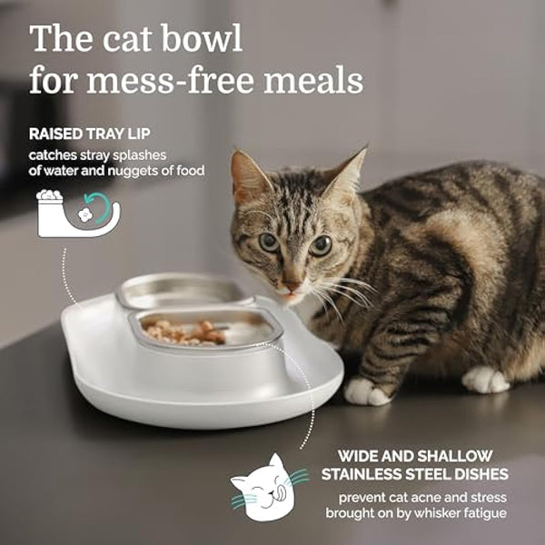 Hepper NomNom - Spill Proof Elevated Cat Bowls for Food and Water - Whisker Relief Cat Bowl + Raised Cat Food Bowls: a Safe Cat Dish for Messy Cats - Stainless Steel Cat Bowl Station