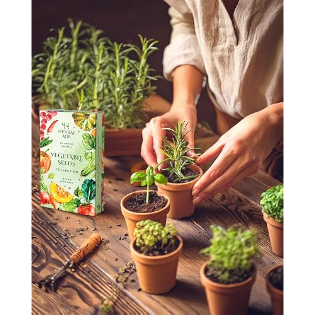 Grow Your Own Kits - 12 Vegetable Plants Seed Box: Courgette, Chilli, Tomato Seeds, 5100 Vegetable Seeds for Planting UK - Unusual Gardening Gifts for Women & Garden Gifts for Men, Allotment Gifts