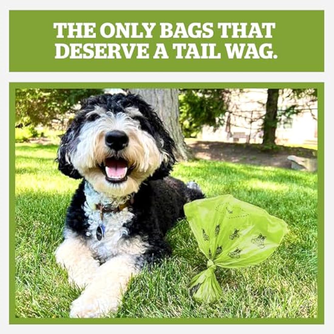 Pogi’s Dog Poo Bags – 750 Bags (50 Rolls) with 2 Dispensers – Biodegradable, Leak-Proof, Extra Strong