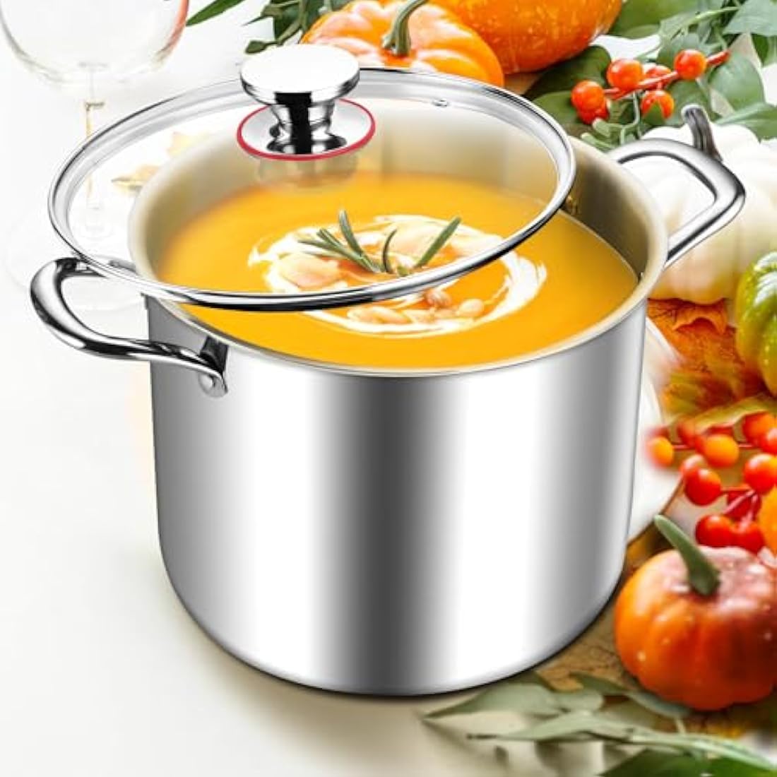 HaWare Large Stock Pot, 10L 25.5cm Tri-Ply Stainless Steel Soup Pot with Visible Lid for Pasta/Meat, Metal Cooking Induction Stockpot, Suit for All Kitchen Stove Top, Healthy & Non Toxic, Easy Clean