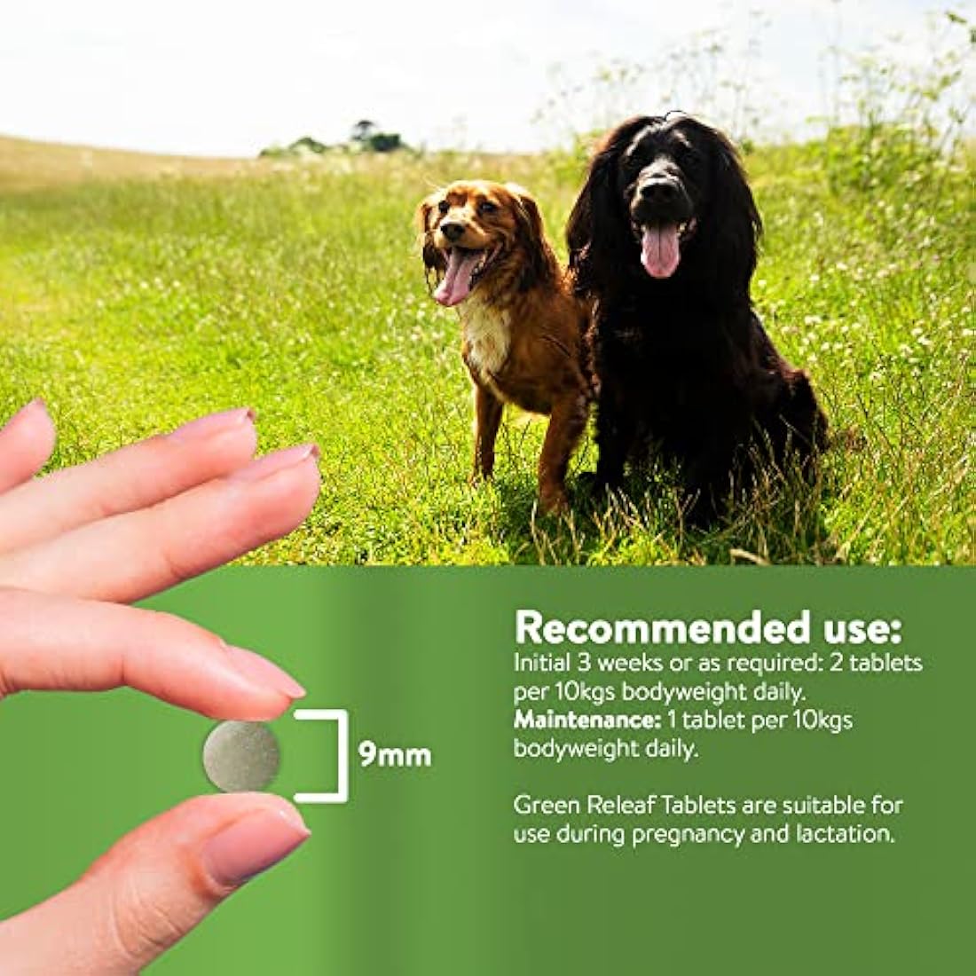 Dorwest Green Releaf Tablets, 100 Tablets, Natural Supplements for Dogs and Cats – For Healthier Skin, Joints, and Urinary Systems in Pets