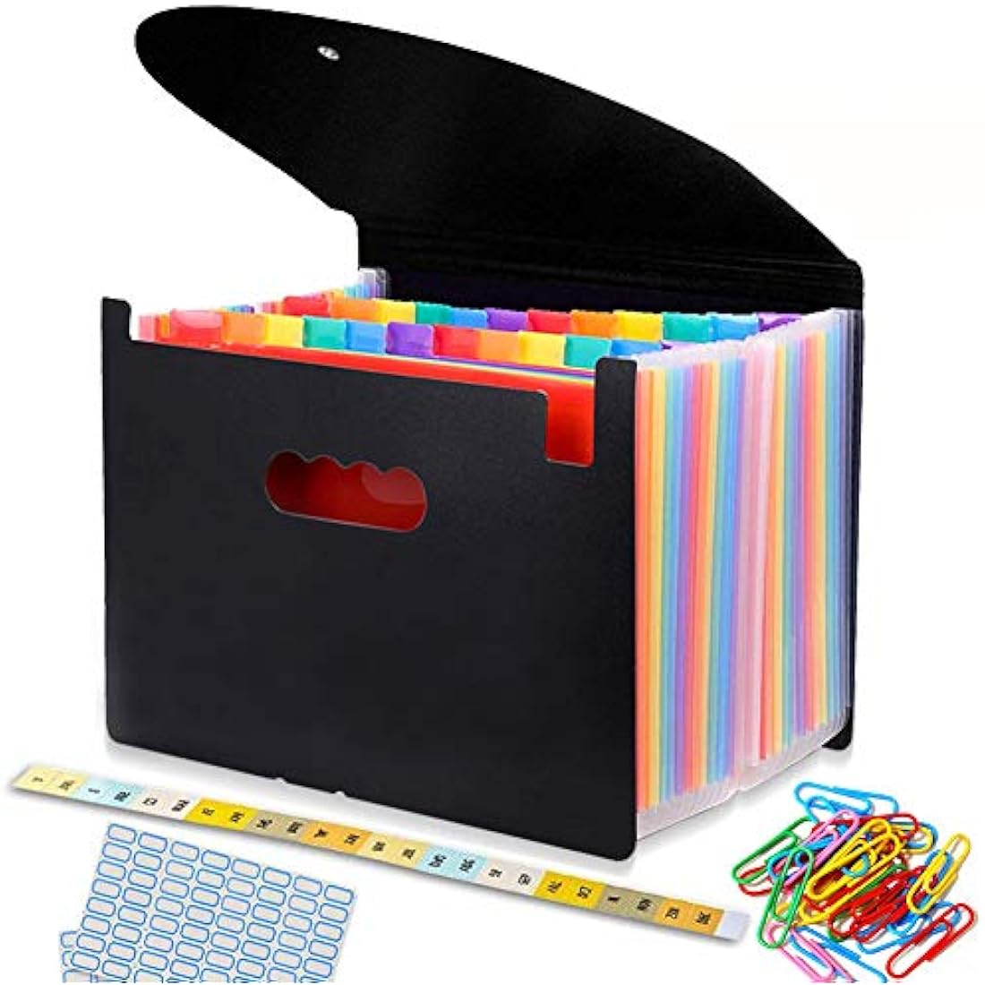File Organiser, A4 Document Organiser 24 Pockets, Twill Expanding Accordion Filing Folders, File Storage Box with Lid, Labels and Clips (Black-C)