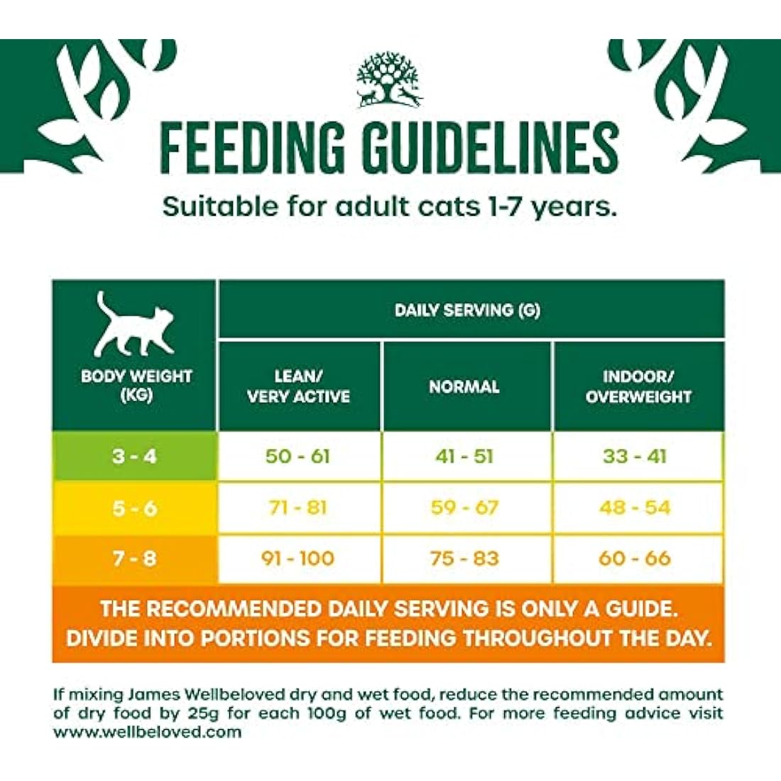 James Wellbeloved Adult Turkey 10 kg Bag, Hypoallergenic Dry Cat Food