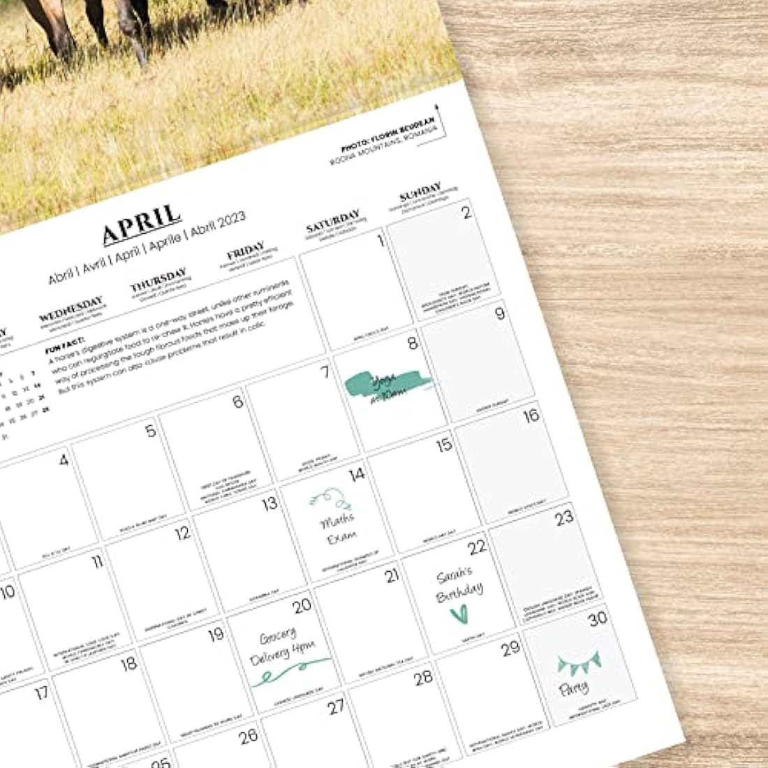 Grupo Erik Horses Wall Calendar 2023 12' x 12' FSC| 12 Month Planner | Square Wall Calendar 2023 | Family Planner Calendar 2023 | Horse Calendar 2023 | + 4 Bonus Months