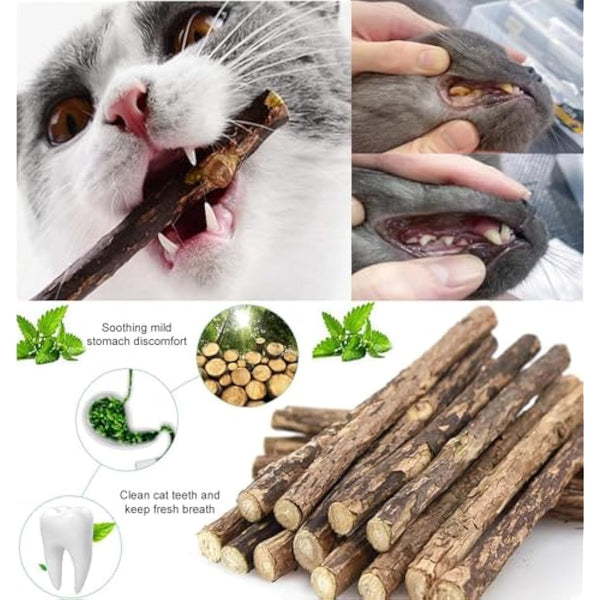 winbarry Cat Toys，Catnip Mouse Toys，Catnip Sticks For Cats，36Pcs Catnip Toys for Cat Playing Chewing Teeth Cleaning