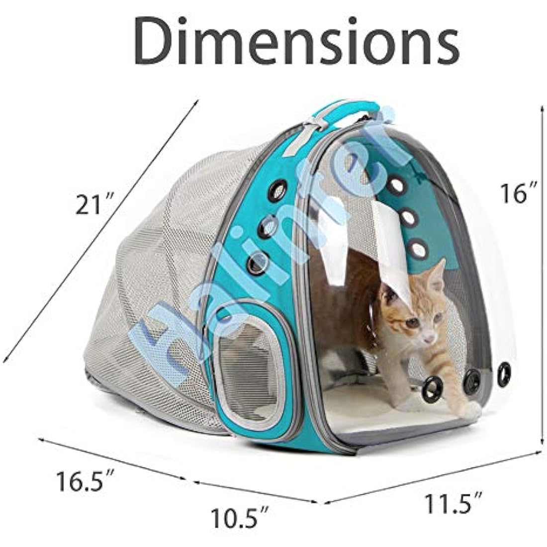 Interfashioner® Cat Bubble Backpack Carrier, Back Expandable Clear Pet Bubble Backpack Carrier for Kitten Small Dog up to 5.5 kgs, Backpack for Cats