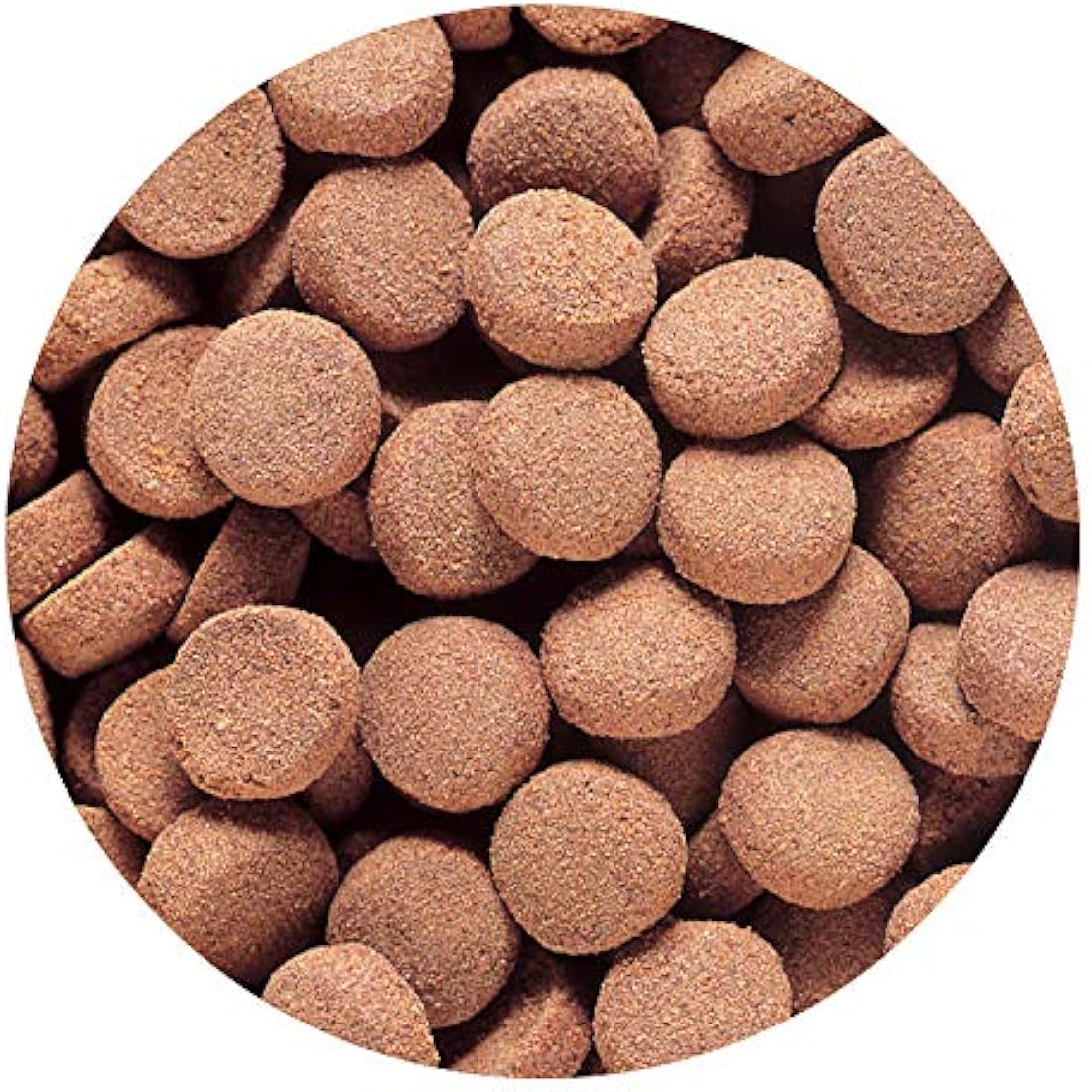 Hikari Usa Inc AHK22036 Massivore Delite 13.4-Ounce