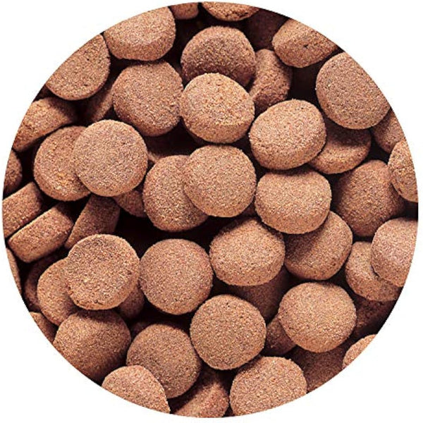 Hikari Usa Inc AHK22036 Massivore Delite 13.4-Ounce