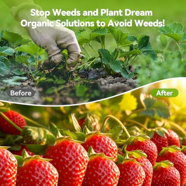 iropro 2m x 50m Heavy Duty Weed Control Membrane Garden Weed Barrier Fabric for Landscaping Driveway Gravel Artificial Grass Lawn Underlay Black Woven Roll Ground Cover