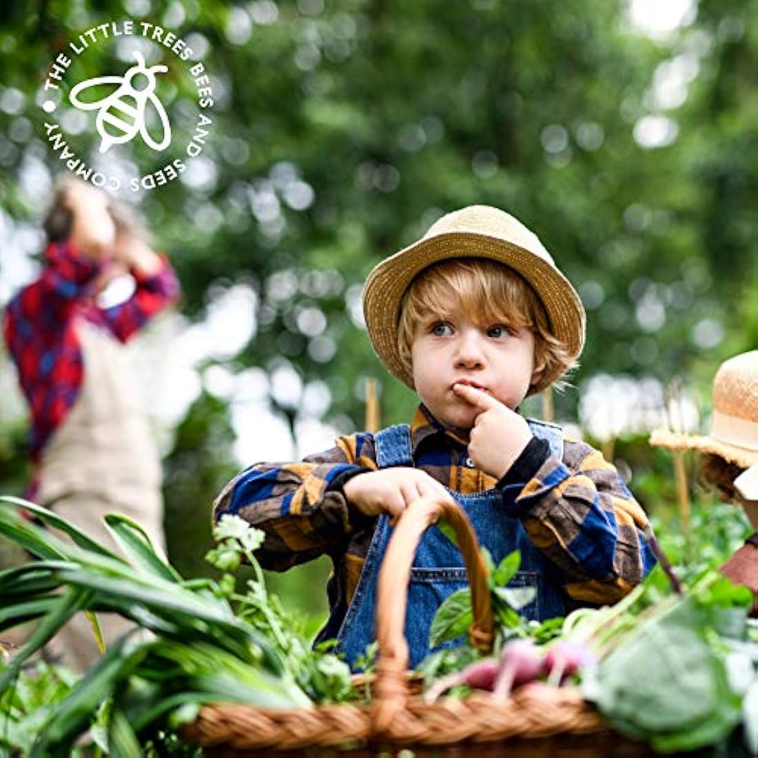 Herb Seeds for Gardening, 15 Seed Varieties Included in This Grow Your Own Herb Garden Pack, The Little Trees Bees & Seeds Company