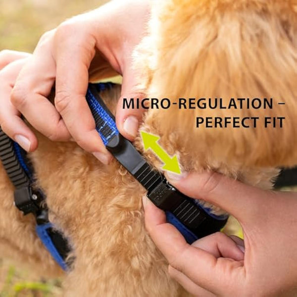 Ferplast Large Size Dog Harness ERGOCOMFORT LARGE, Adjustable Dog Harness, Comfortable, Padded, Double Micro-adjustment Closure, Quick Release, Blue