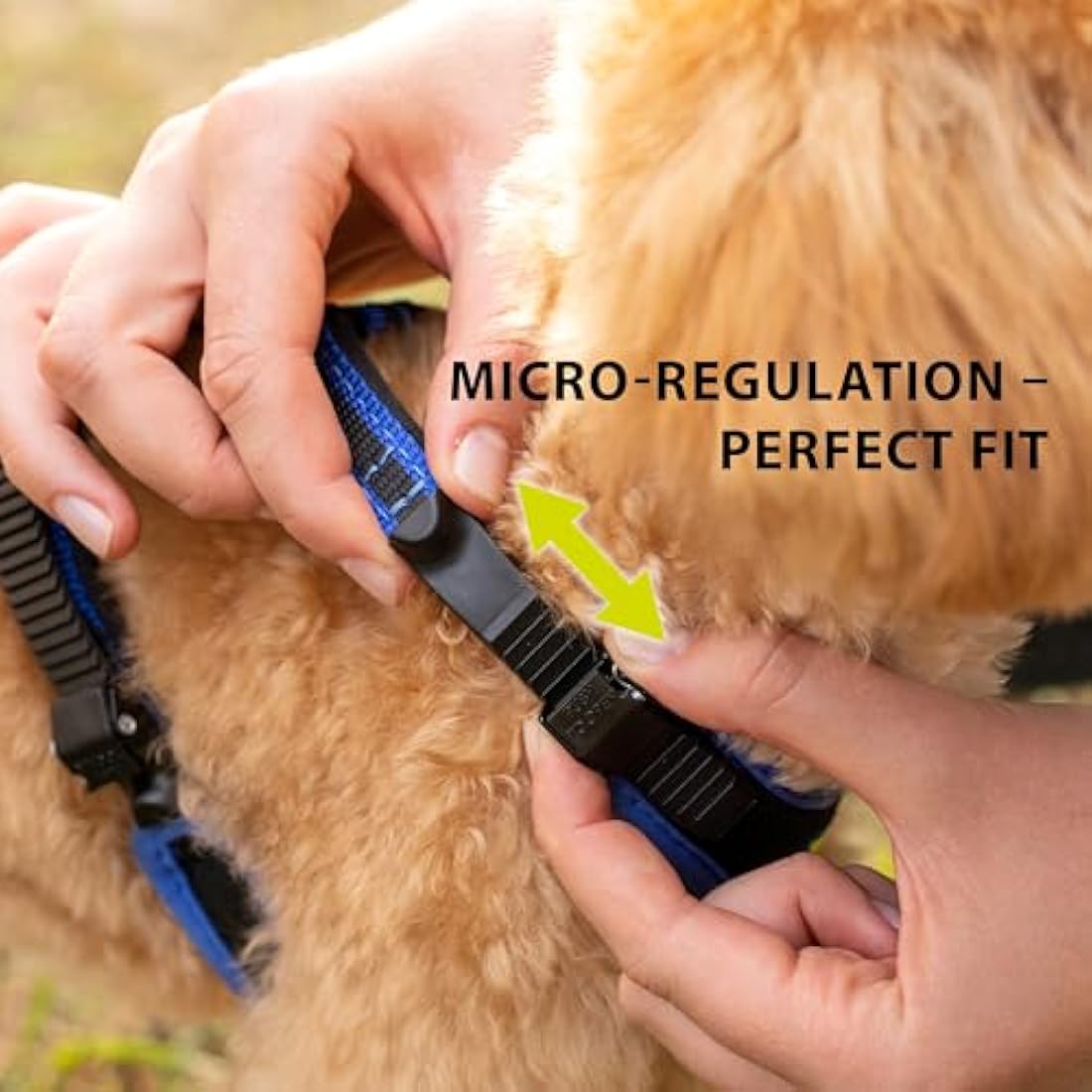 Ferplast Small Size Dog Harness ERGOCOMFORT SMALL, Adjustable Dog Harness, Comfortable, Padded, Double Micro-adjustment Closure, Quick Release, Blue