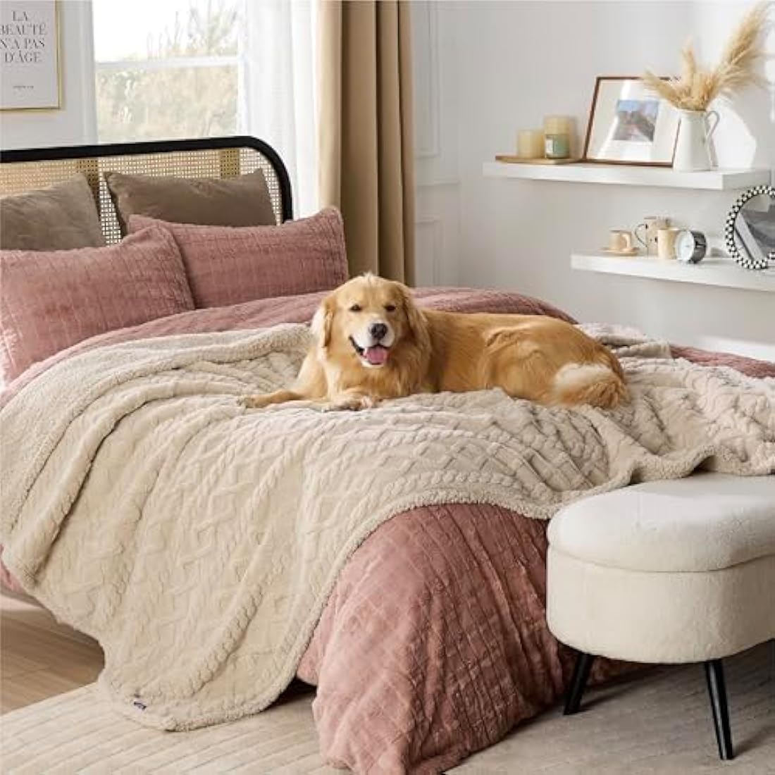 Lesure Washable Dog Blanket Twin - 152x203cm Waterproof Blanket for Dogs and Cats, Twin Patterned Bed and Sofa Couch Throw Protector with Soft Plush, Cream