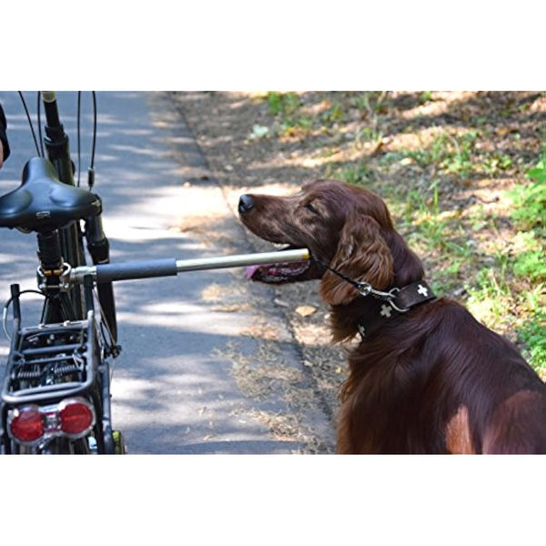 dobar® 62000 Walky Dog Plus Dog Bicycle Lead, Stainless Steel Spacer, Bicycle Holder with Triple Rear Damper, Traction Lead with Quicklock and Spacer, 37.5 cm, Silver